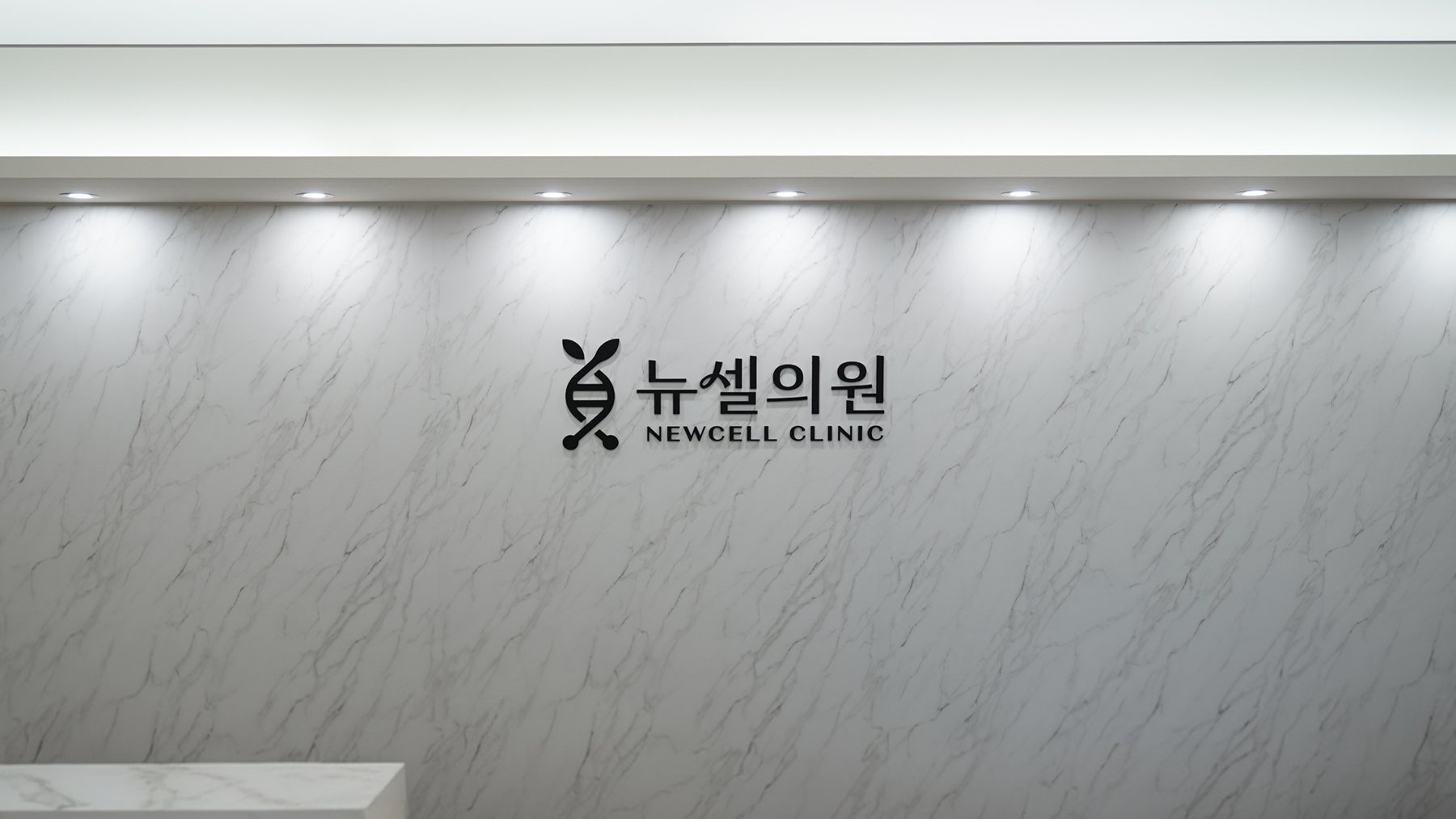 뉴셀의원 내부 전경 — 대리석 벽의 뉴셀의원 간판